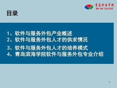 软件服务外包与软件外包服务 概念辨析、价值逻辑与实践路径