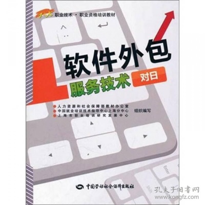 软件外包服务技术 驱动软件外包服务创新与效率的双引擎