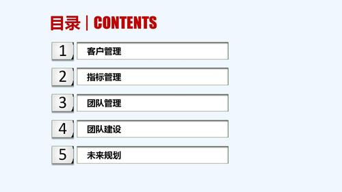 服务外包项目运营管理方案（软件外包服务）